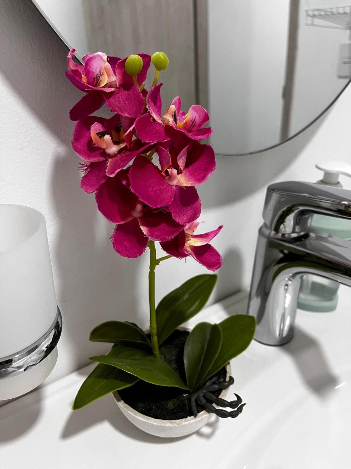 Apartamento Luxury Wifi Ac Pool At Cartagena